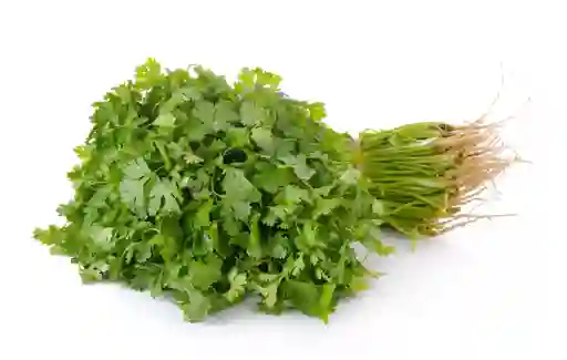 Cilantro