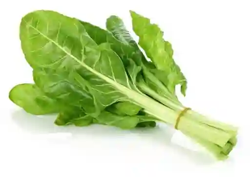 Acelga