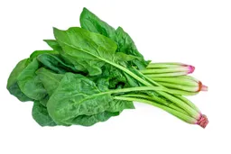 Espinaca