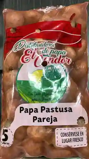 Papá Lavada Pareja