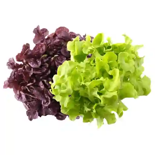Mix Lechuga Crespa
