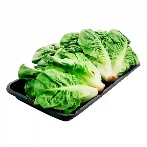 Cogollo Verde
