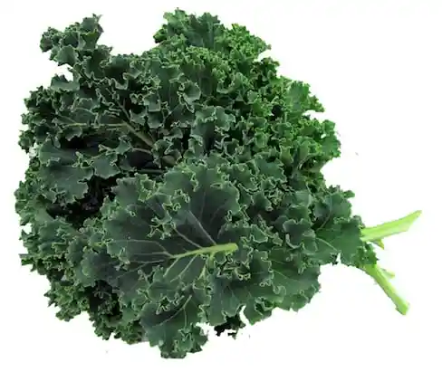 Kale