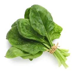 Espinaca Baby