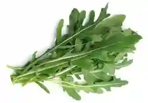Rugula