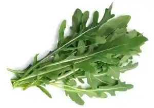 Rugula
