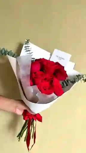 Instantes Contigo