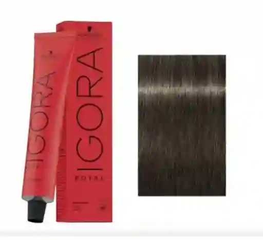 Tinte Igora Royal 6-1 Rubio Oscuro Cenizo
