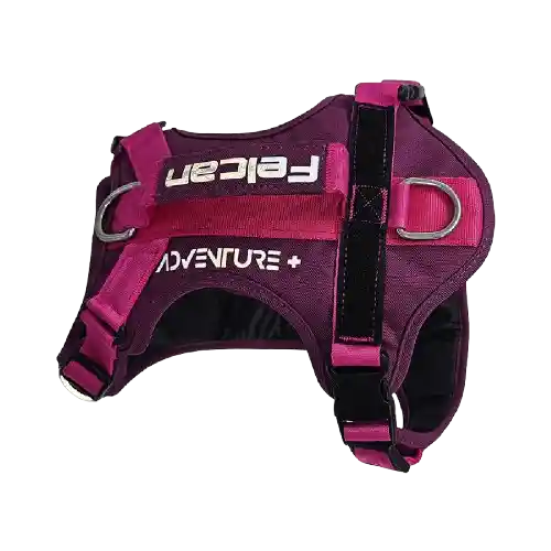 Arnés Para Perro Mountain Morado Felcan - Xl