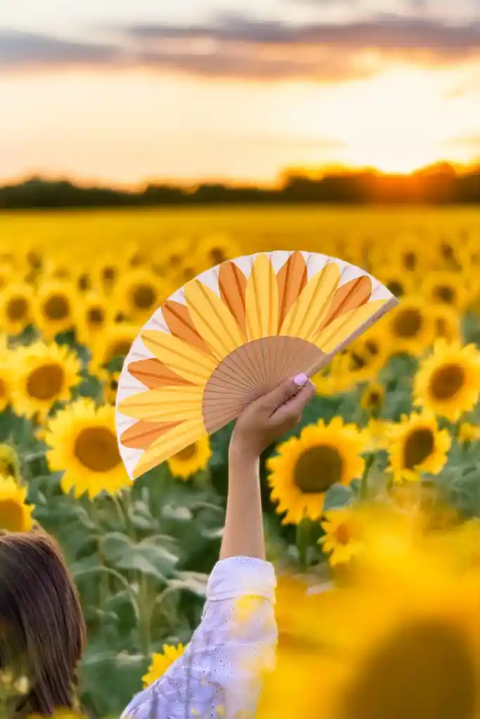 Abanico Girasol