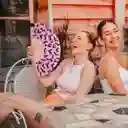 Abanico Perros Salchicha