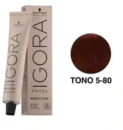 Tinte Igora Roya 5-80 Castaño Claro Natural