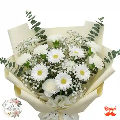 Pura Ternura Blanca