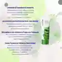 Limpiador Facial Aloe Vera
