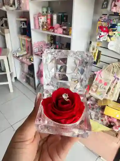 Mini Rosa Preservada Ideal Para Anillo