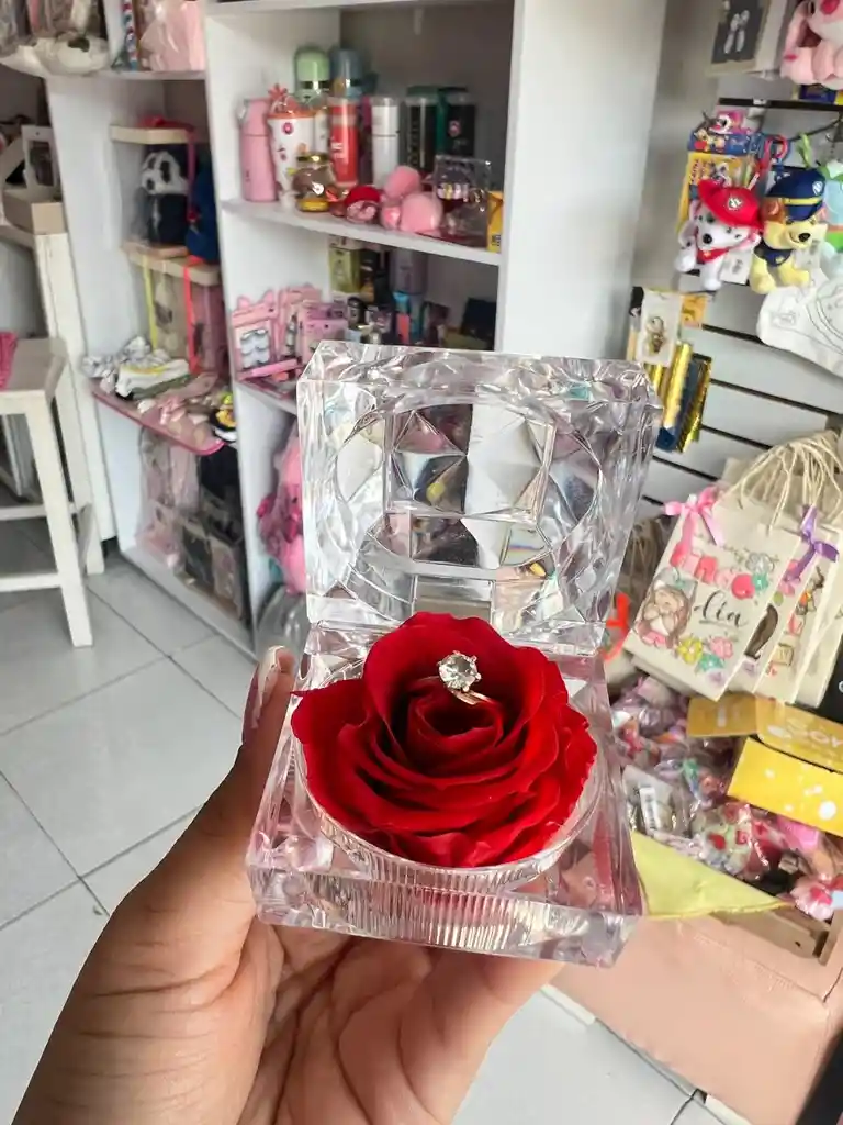 Mini Rosa Preservada Ideal Para Anillo