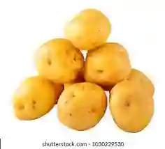 Papa Criolla