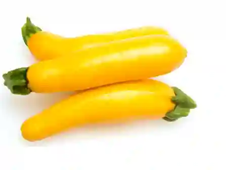 Zucchini Amarillo
