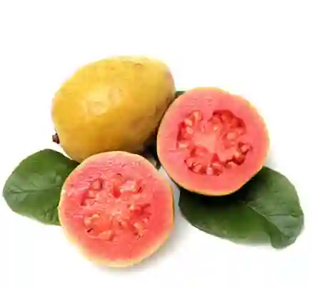 Guayaba