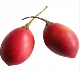 Tómate Árbol