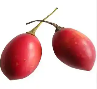Tómate Árbol