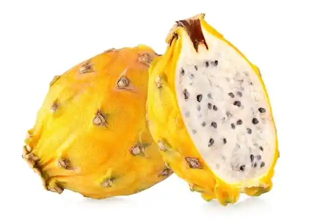 Pitaya