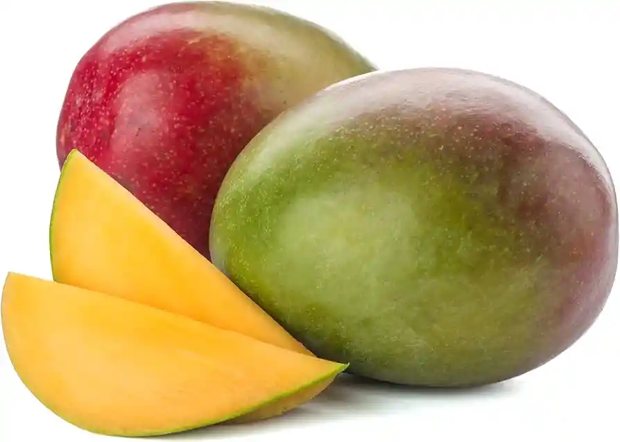 Mango Tommy