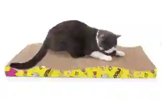 Rascador Para Gato Ola