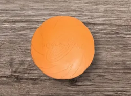 Frisbee De Goma Resistente 22cm