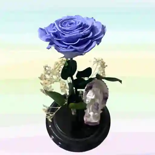 Preservada Rosa Azul Cielo
