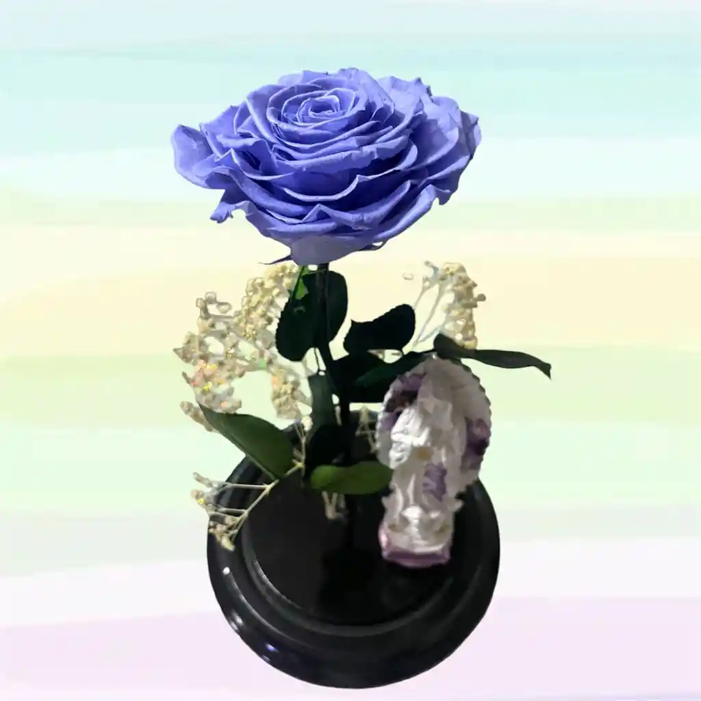 Preservada Rosa Azul Cielo