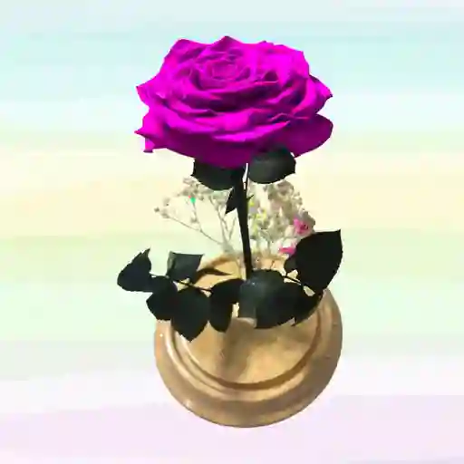 Preservada Fucsia