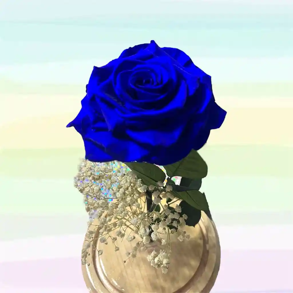 Preservada Azul Rey