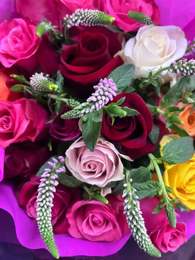 Flores Rosas Surtidas X24