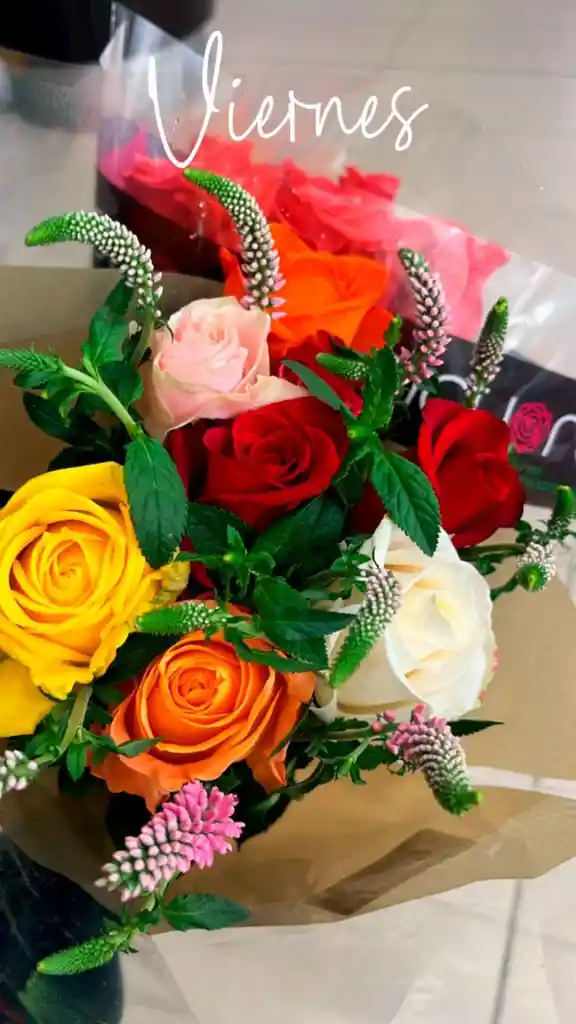 Flores Rosas Surtidas X24