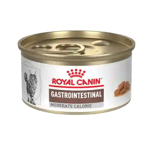 Royal Canin Lata Gastrointestinal Moderate Calories X 85 Gr