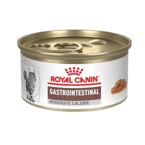 Royal Canin Lata Gastrointestinal Moderate Calories X 85 Gr
