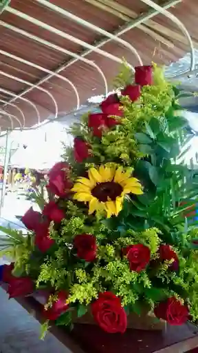 Amor Que Florece