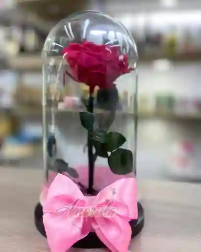 Rosa Preservada