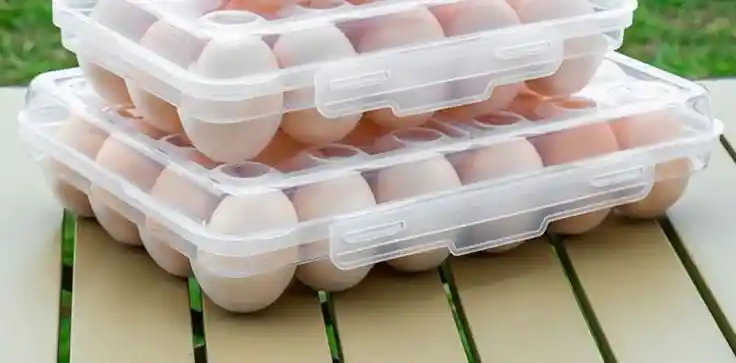 Kit Organizador Ahorra Espacio Para 24 Huevos + Cubeta De Huevos Aa