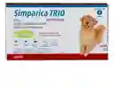 Simparica Trio 20 Kg - 40 Kg