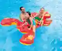 Langosta Colchoneta Flotador Inflabe Intex