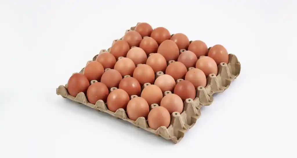 Kit Cubeta De Huevos Aa + Organizador Ahorra Espacio Para 10 Huevos