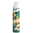 Shampoo Seco Batiste Green Tea Chamomile 200ml