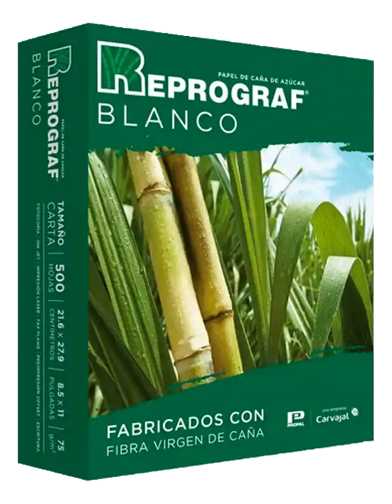 Resma Carta Hoja Blanca Reprograf