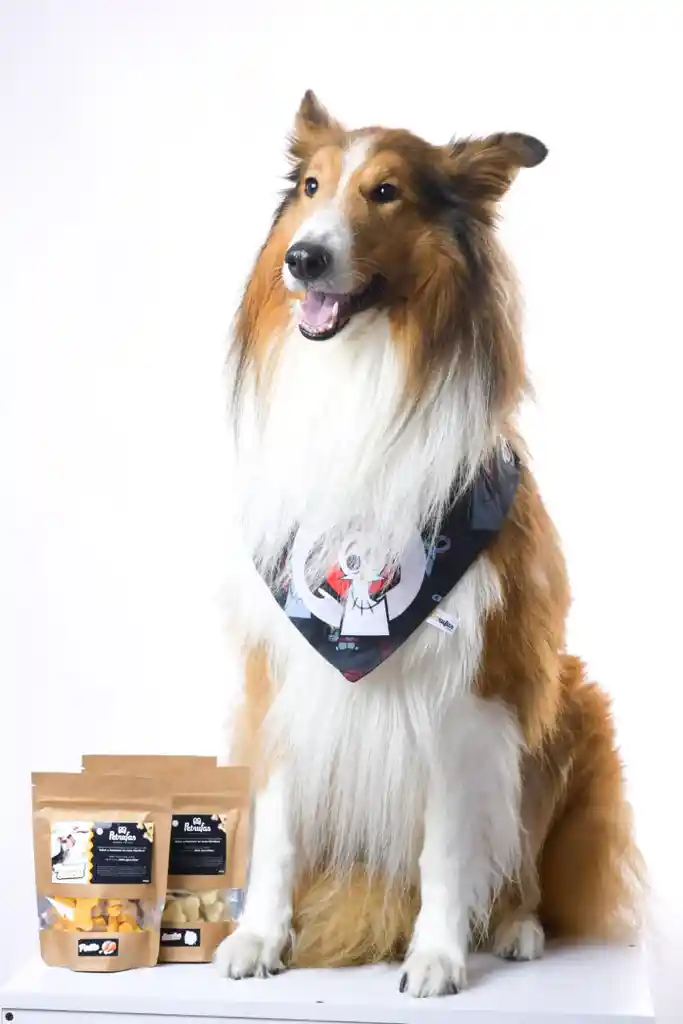 Galletas Naturales Petrufas Sabores Surtidos