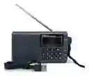 Radio Portátil Multibanda Recargable Am Fm Sw Y Mp3