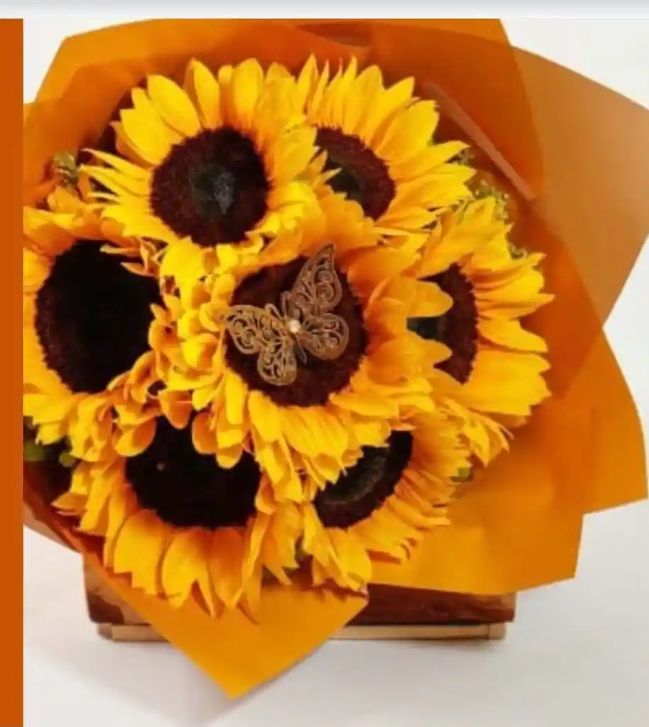 🌻 Caja Sol Dorado