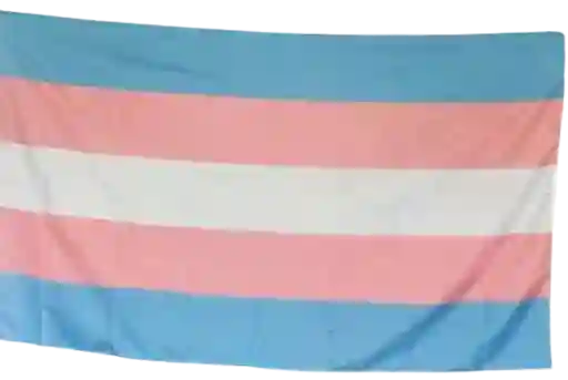 Bandera Orgullo Trans Transexual Pride Lgbt Arcoiris Grande 1.5m X 3m