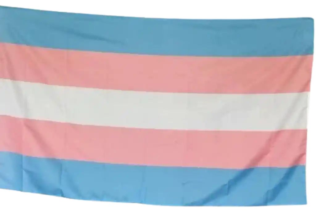 Bandera Orgullo Trans Transexual Pride Lgbt Arcoiris Grande 1.5m X 3m